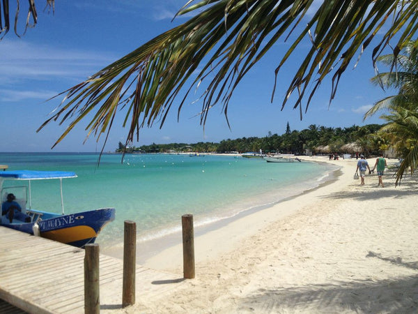 Roatan Zipline, Beach, Island Tour Combo