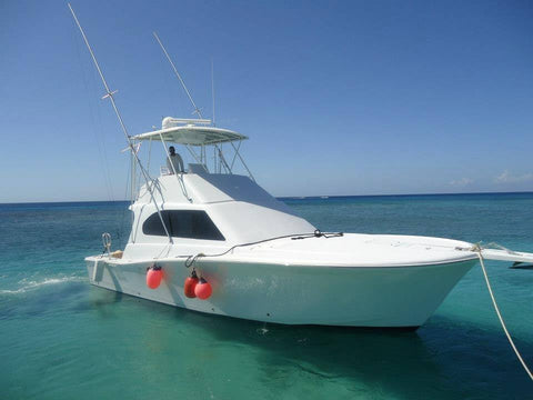 38 ft Roatan Yacht Charter: Snorkel, Fish and Party 4 Hours